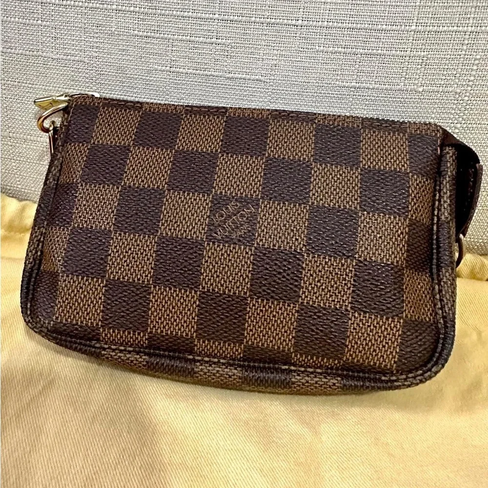 Louis Vuitton Mini Pochette Accessories - Picture 6 of 16
